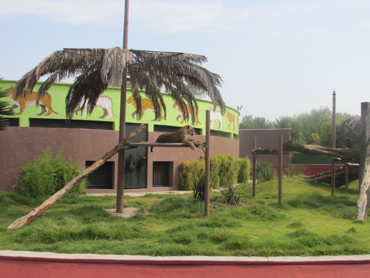 jaguar exhibit