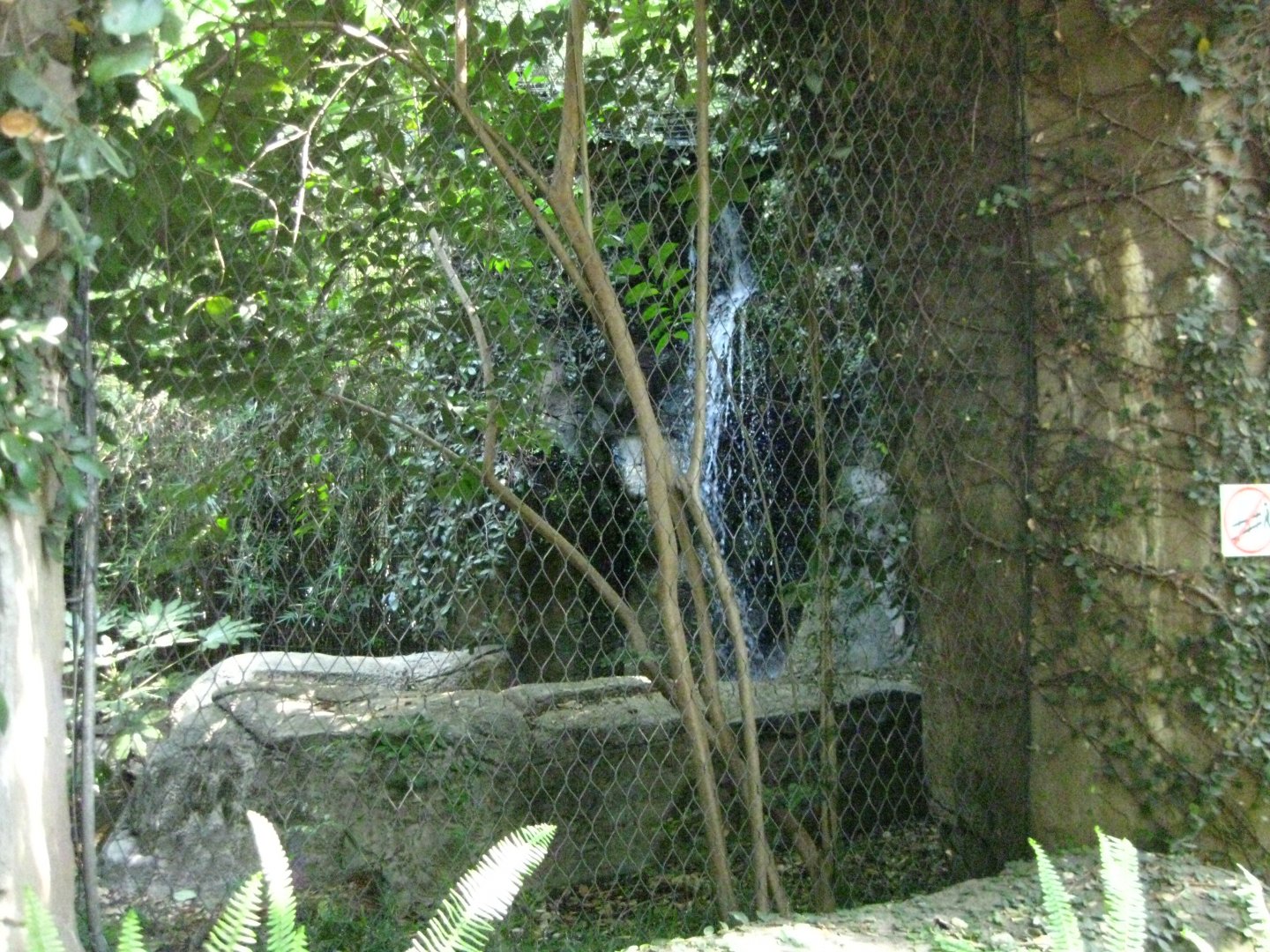 Jaguar Exhibit