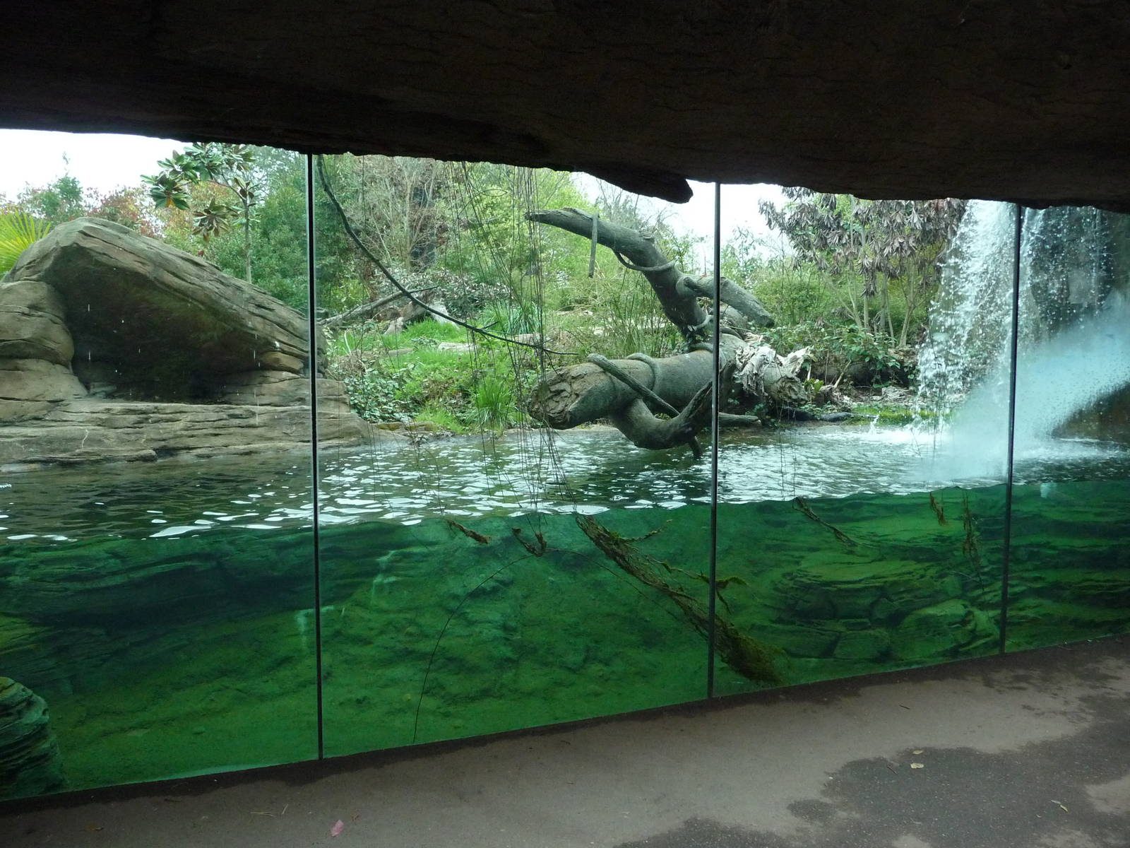 Jaguar Exhibit