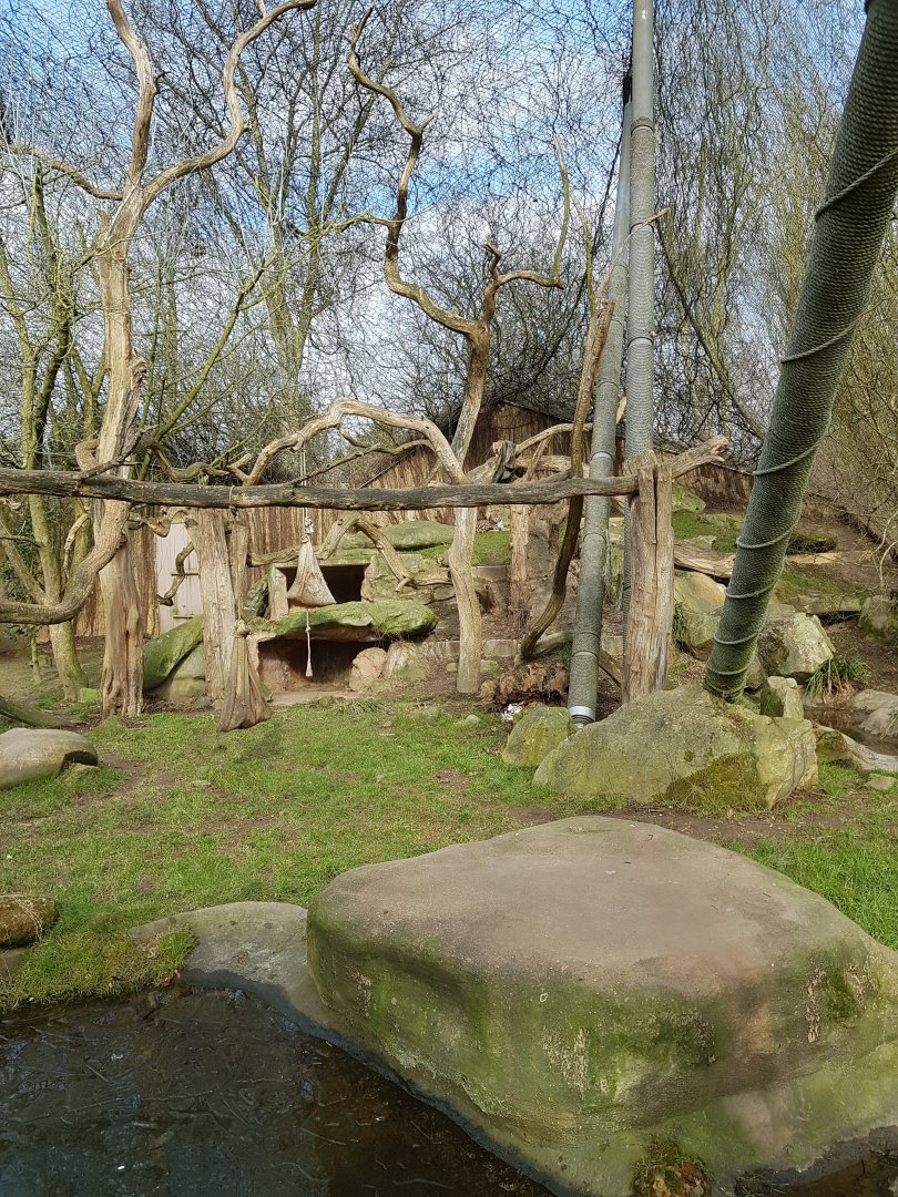 Jaguar exhibit