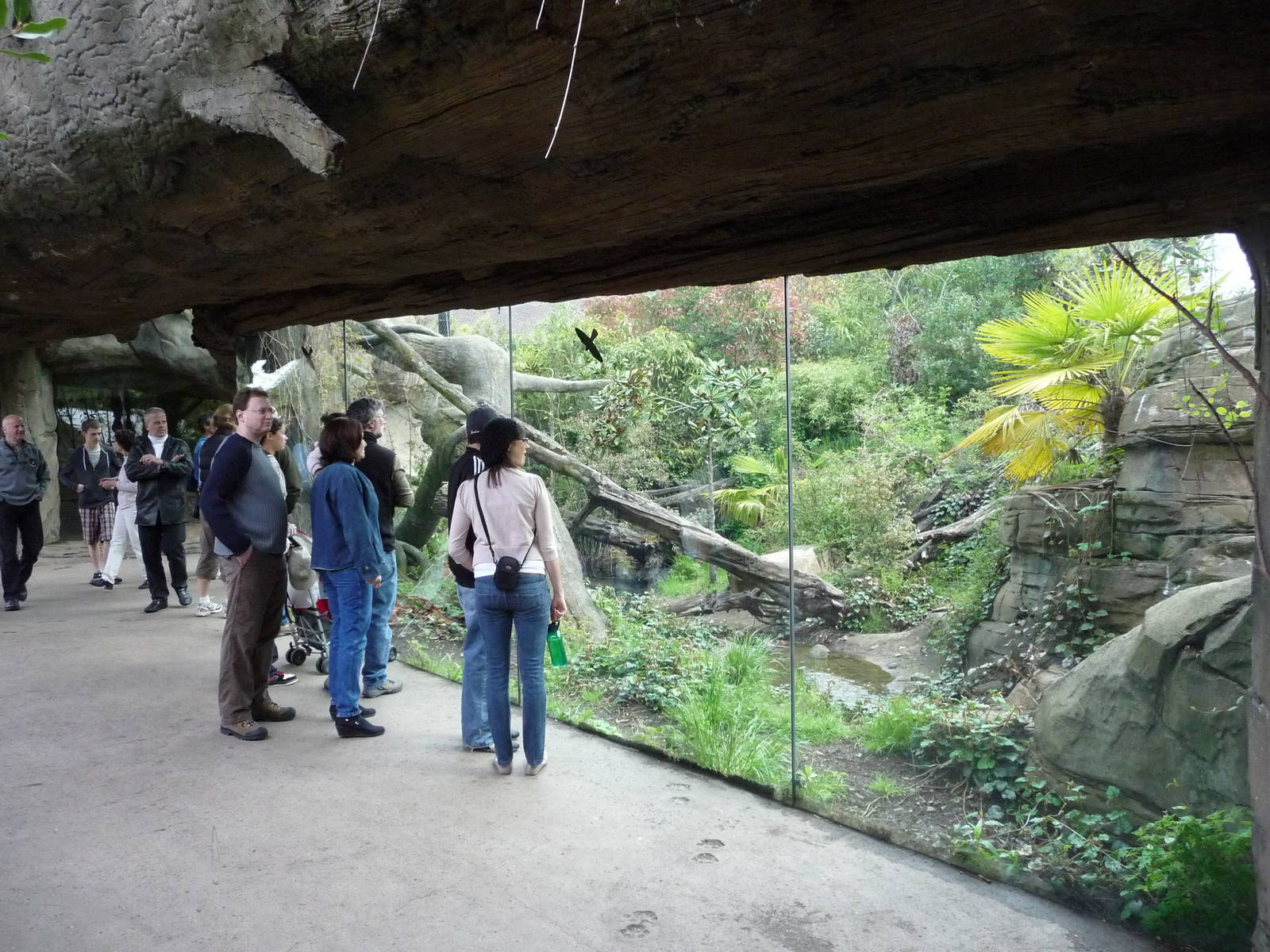 Jaguar Exhibit