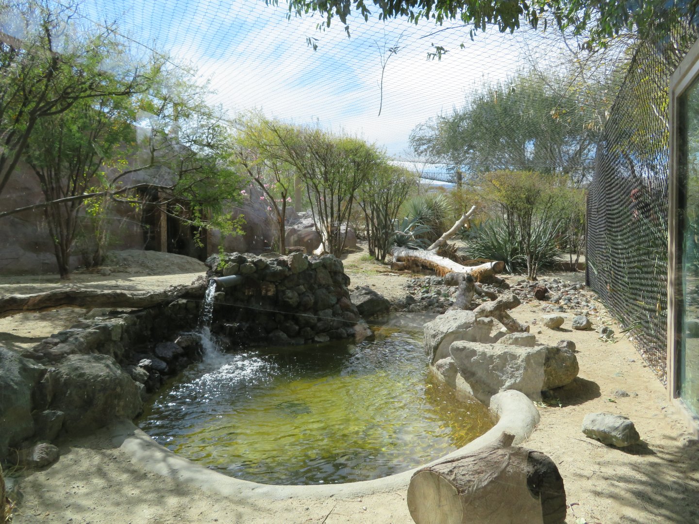 Jaguar Exhibit