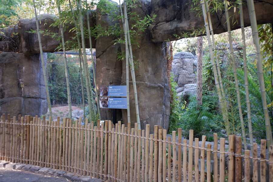 jaguar exhibit