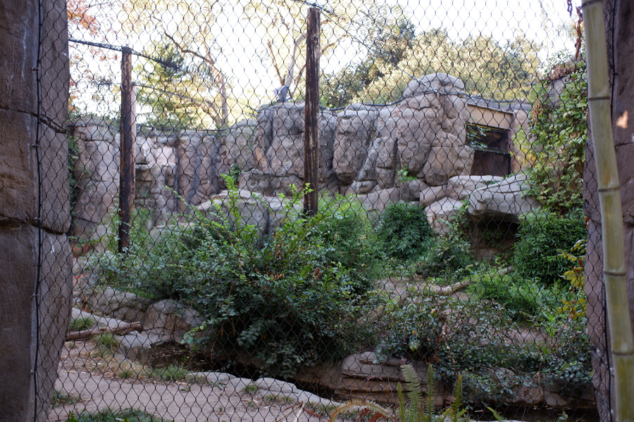 jaguar exhibit