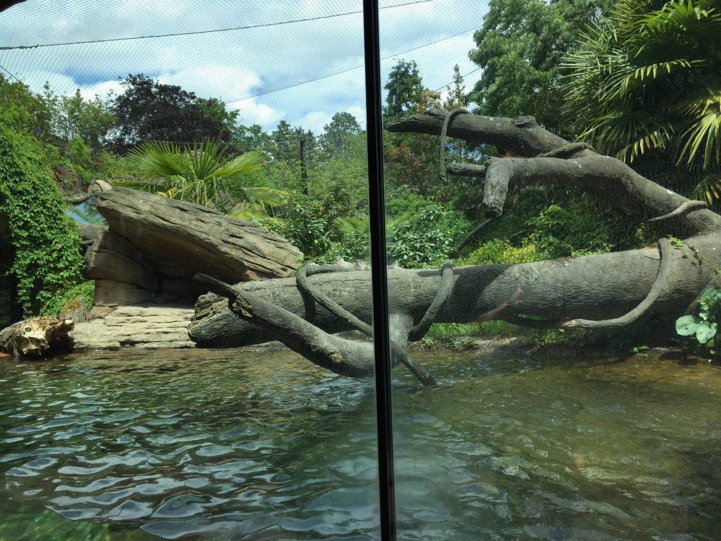 Jaguar Exhibit