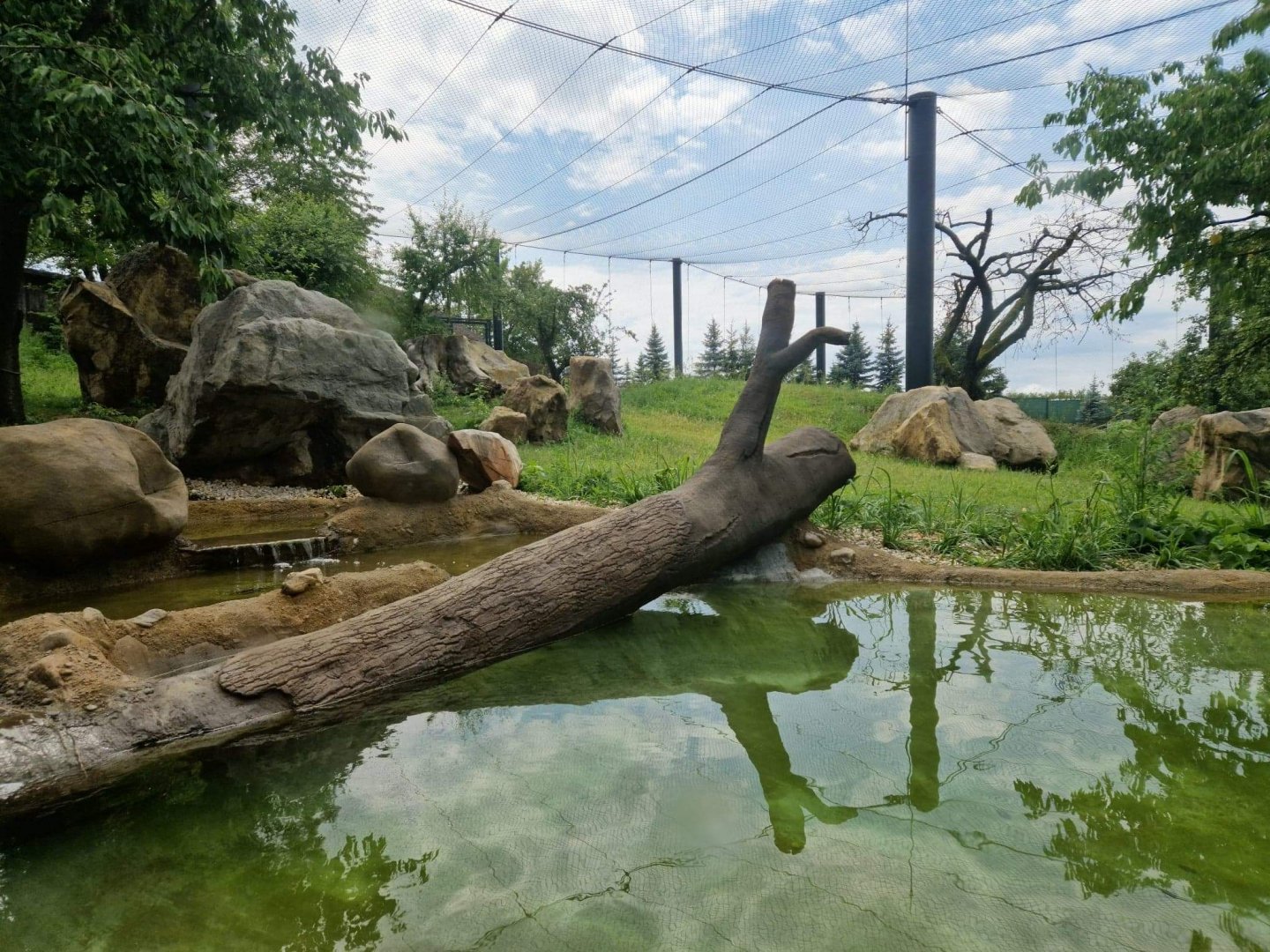 Jaguar Exhibit