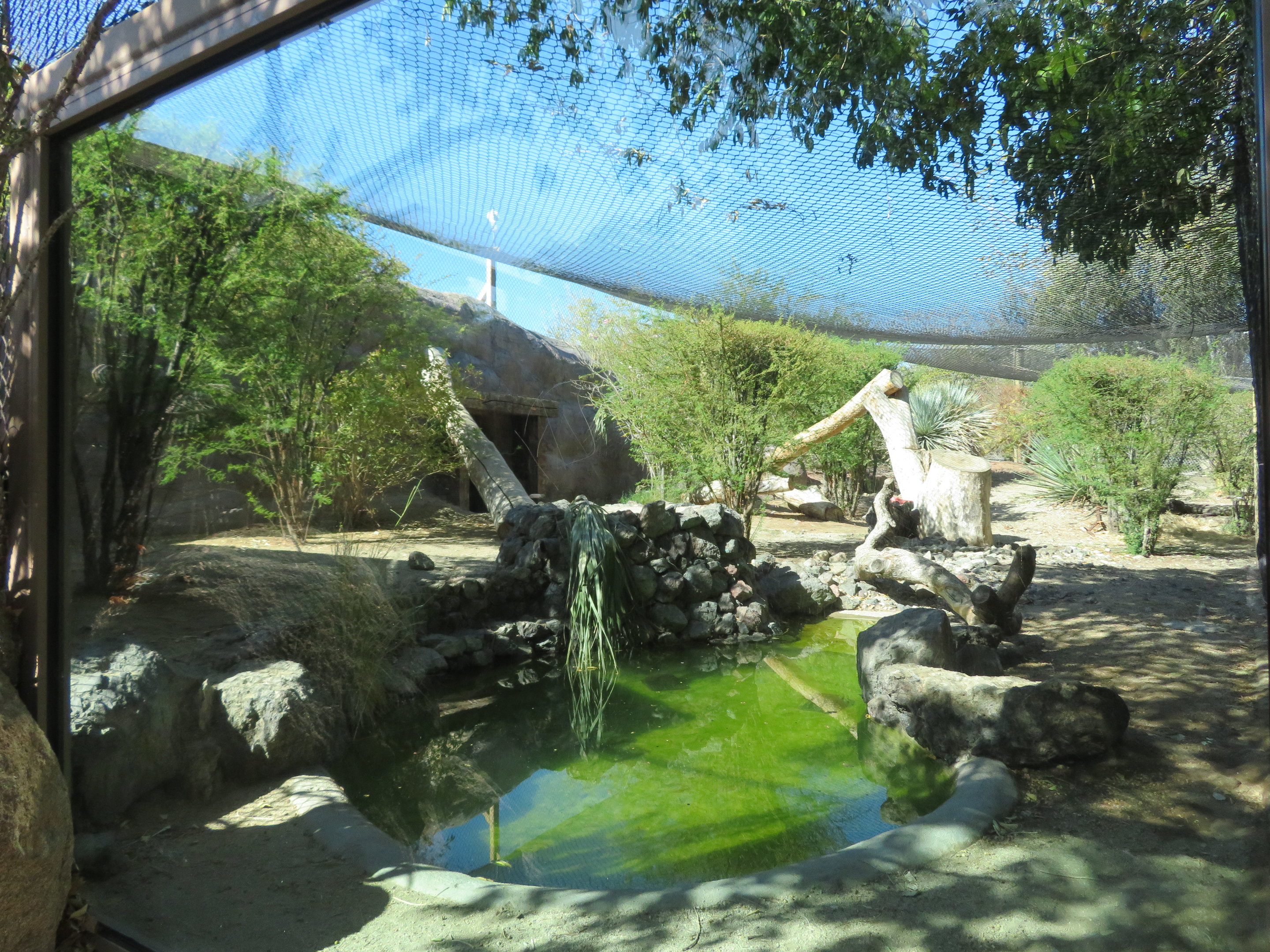 Jaguar Exhibit