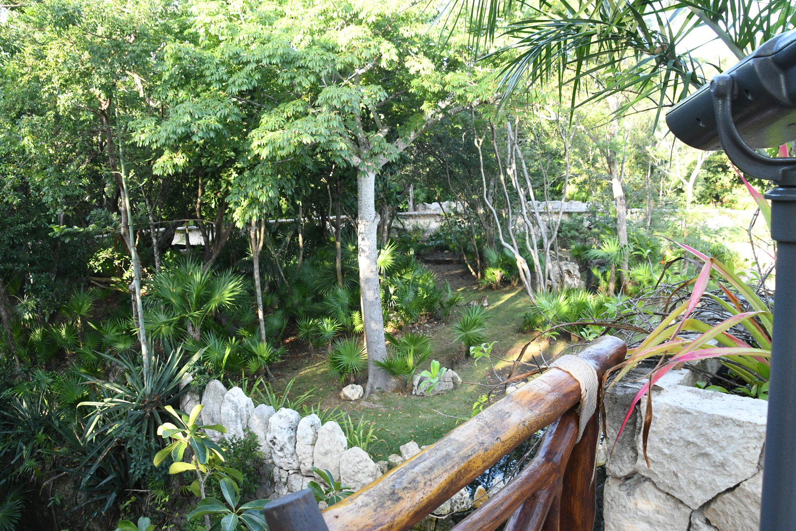 Jaguar Exhibit