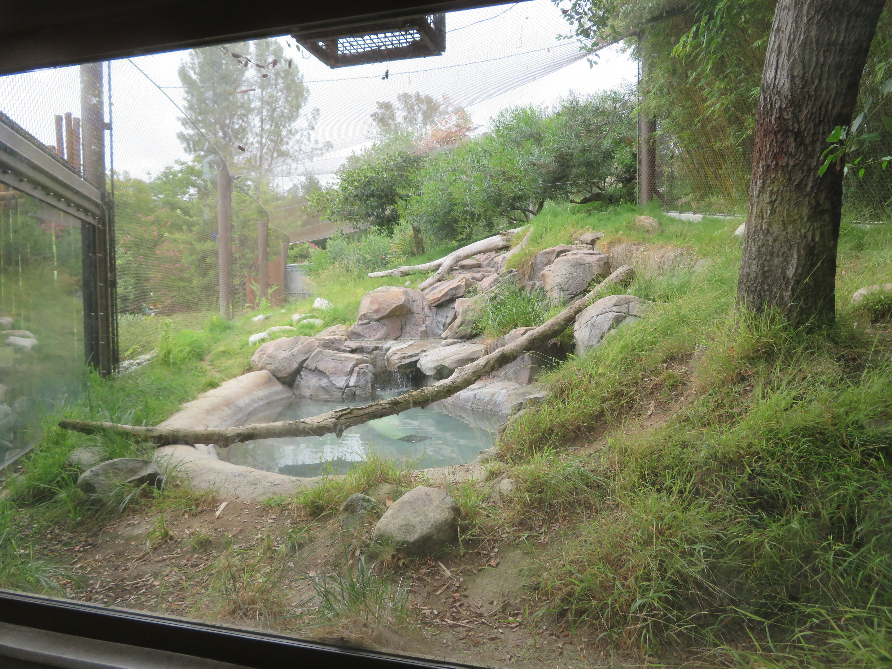 Jaguar Exhibit