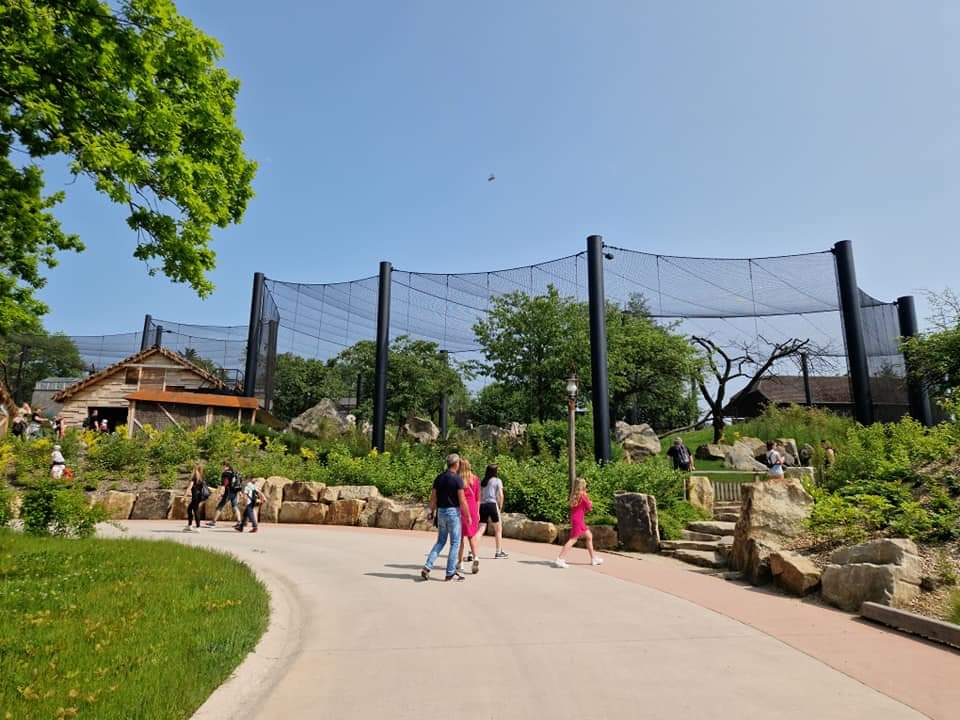 Jaguar Exhibit