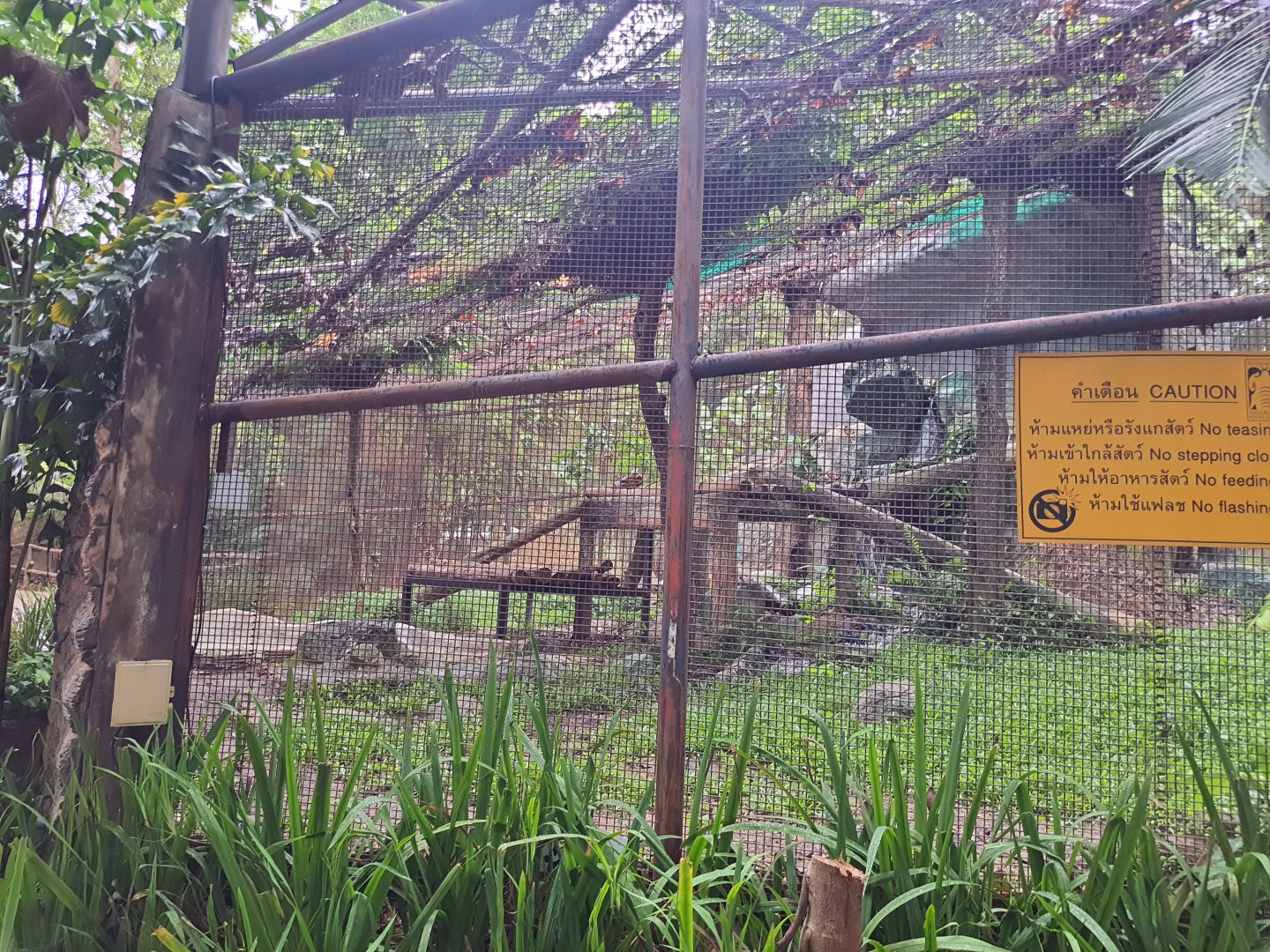 Jaguar exhibit