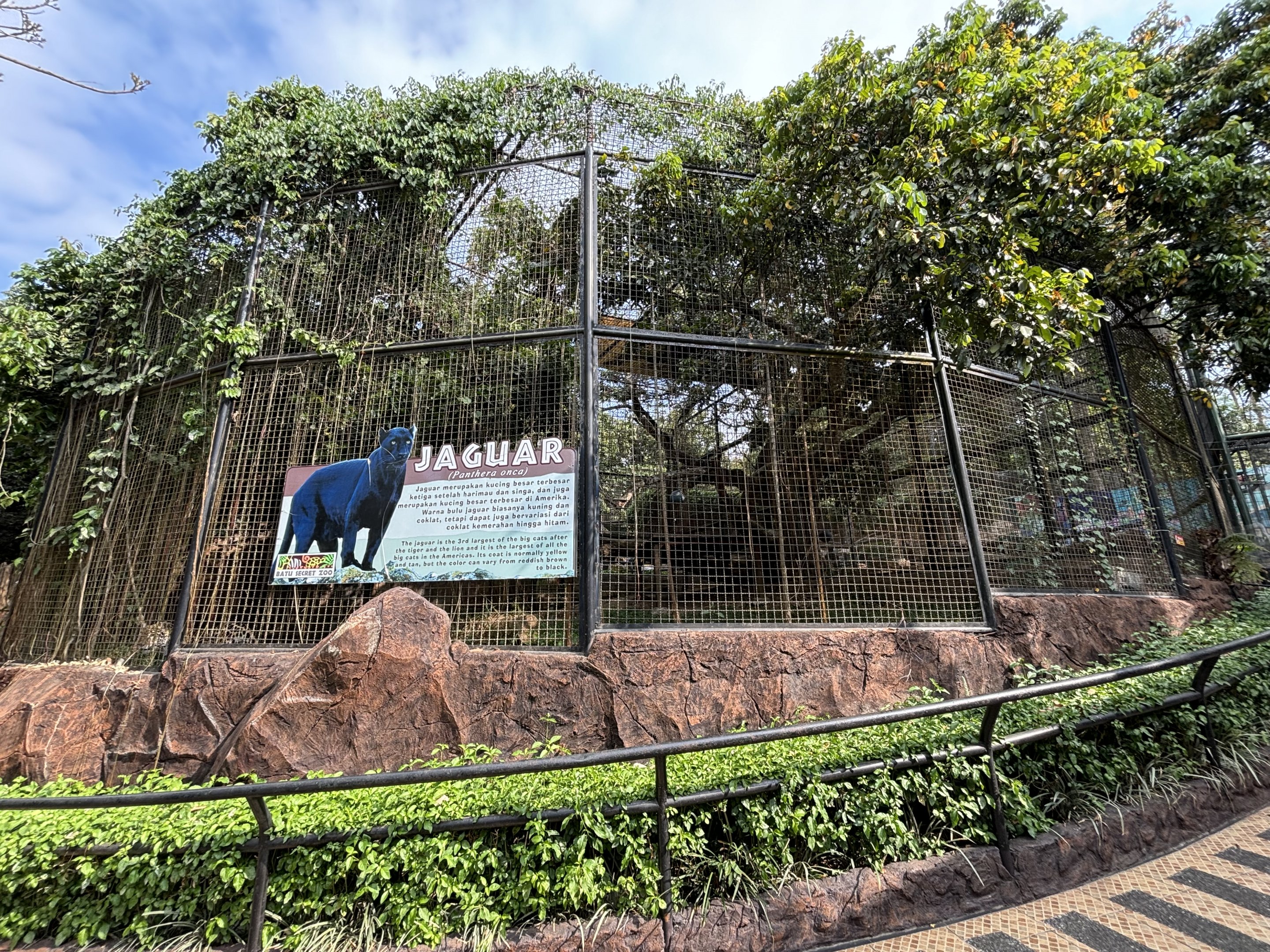 Jaguar Exhibit