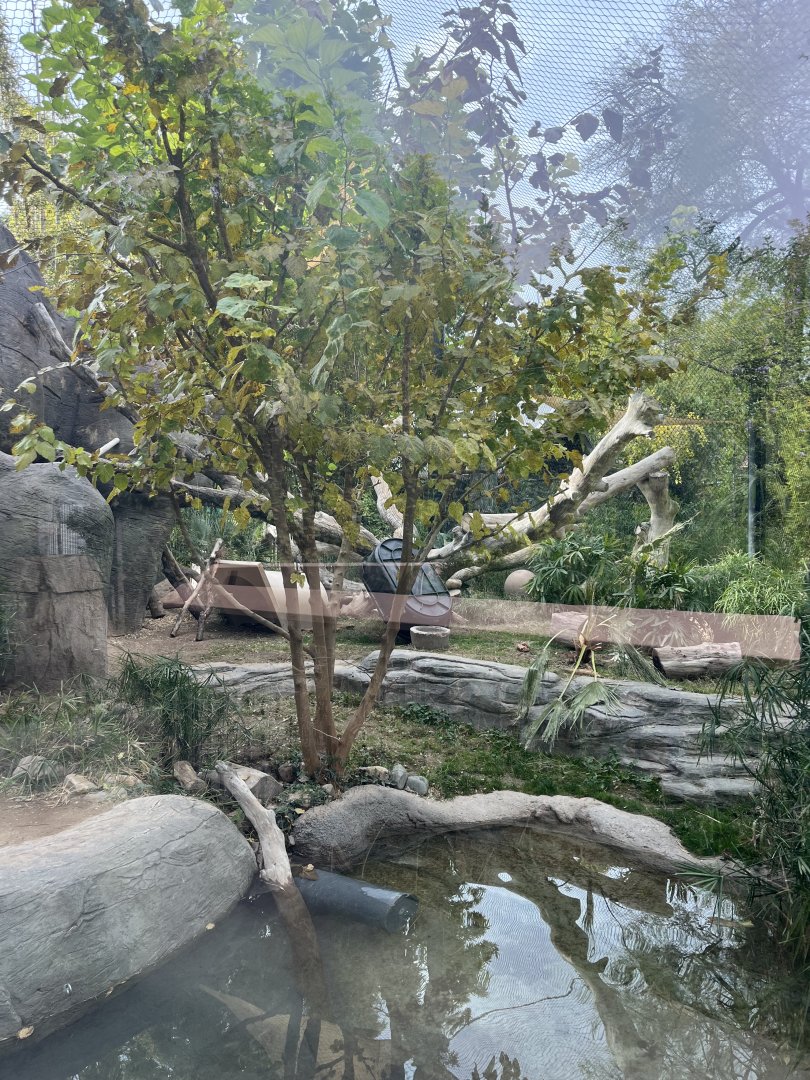 jaguar exhibit