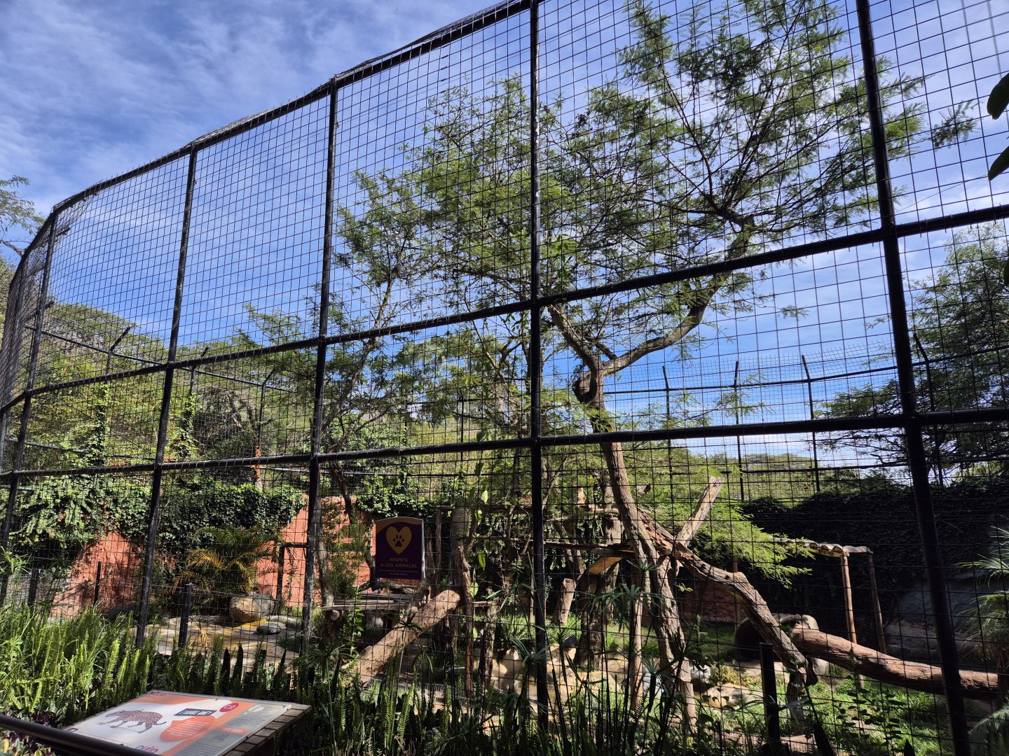 Jaguar exhibit