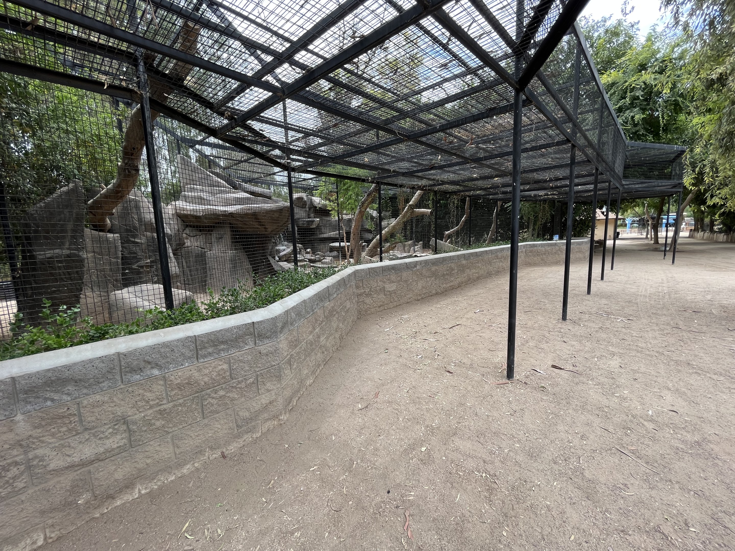 Jaguar Exhibits