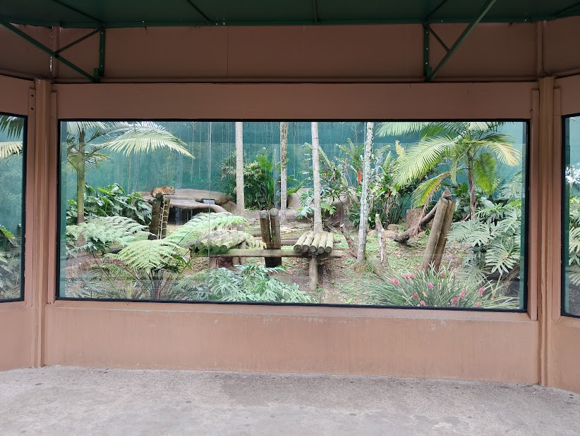 Jaguar Habitat