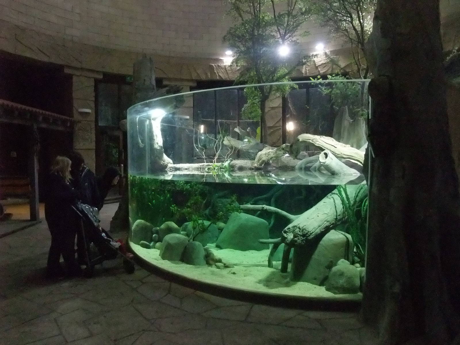 Jaguar House Aquarium at Chester, 04/02/12