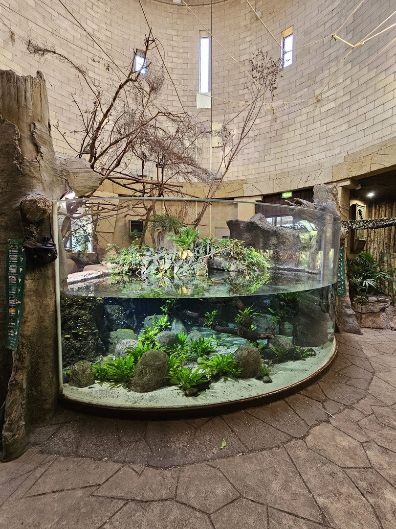 Jaguar House fish tank