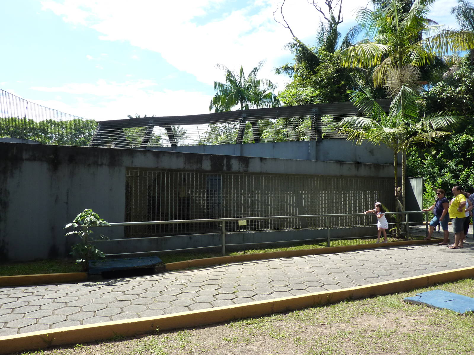 Jaguar 'indoor' enclosure