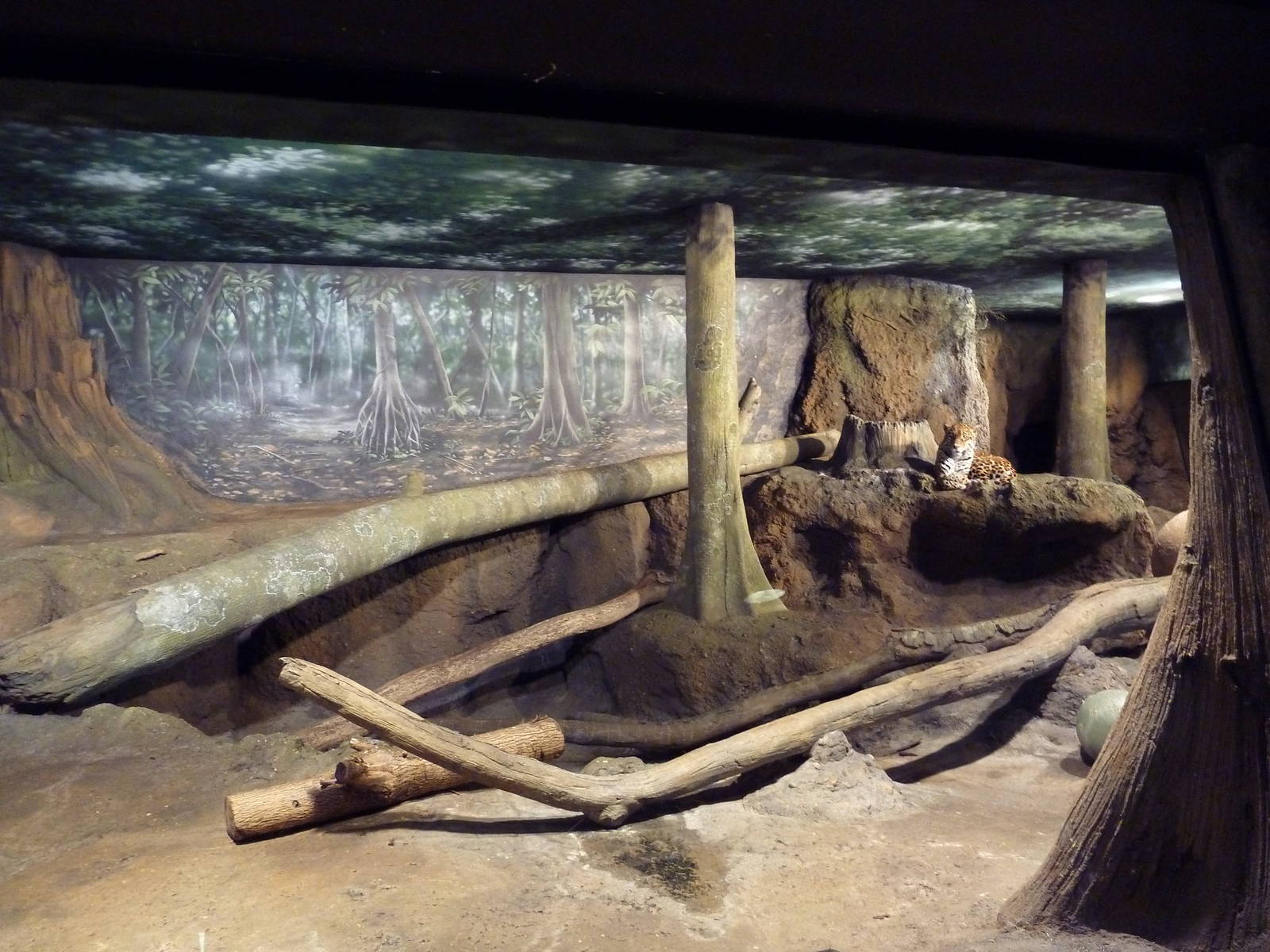 Jaguar Indoor Exhibit