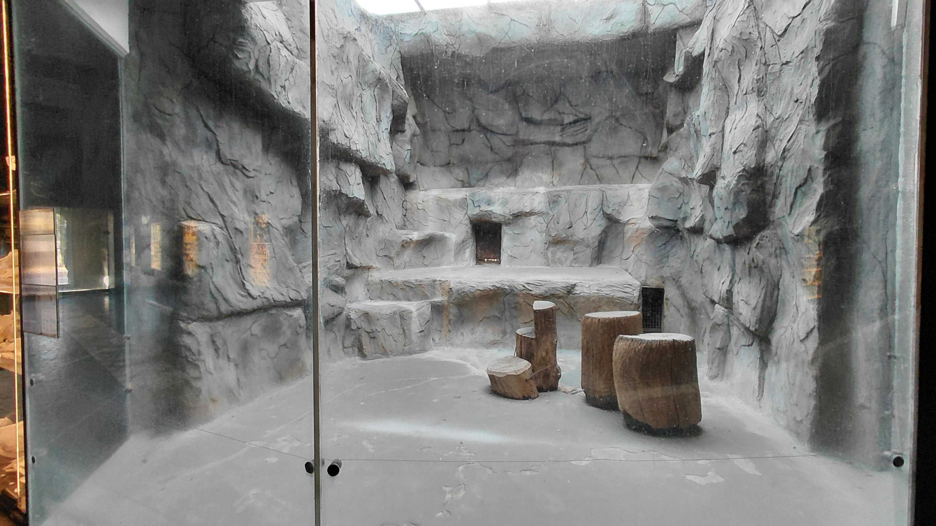 Jaguar indoor exhibit