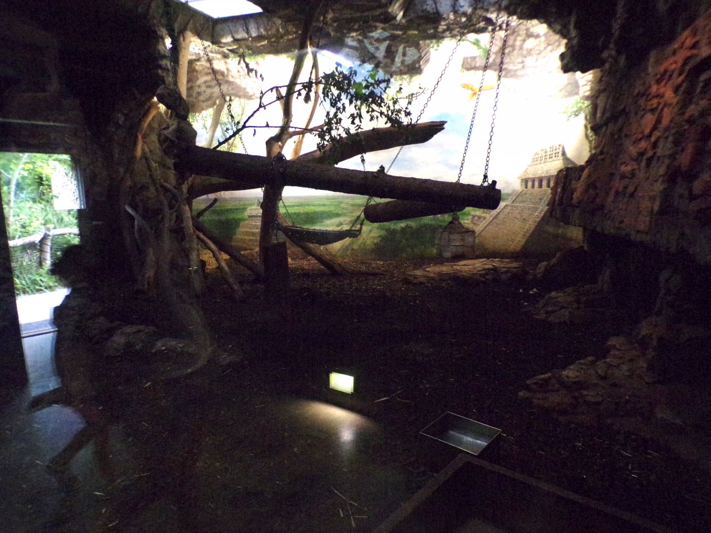 Jaguar indoors 13.7.25