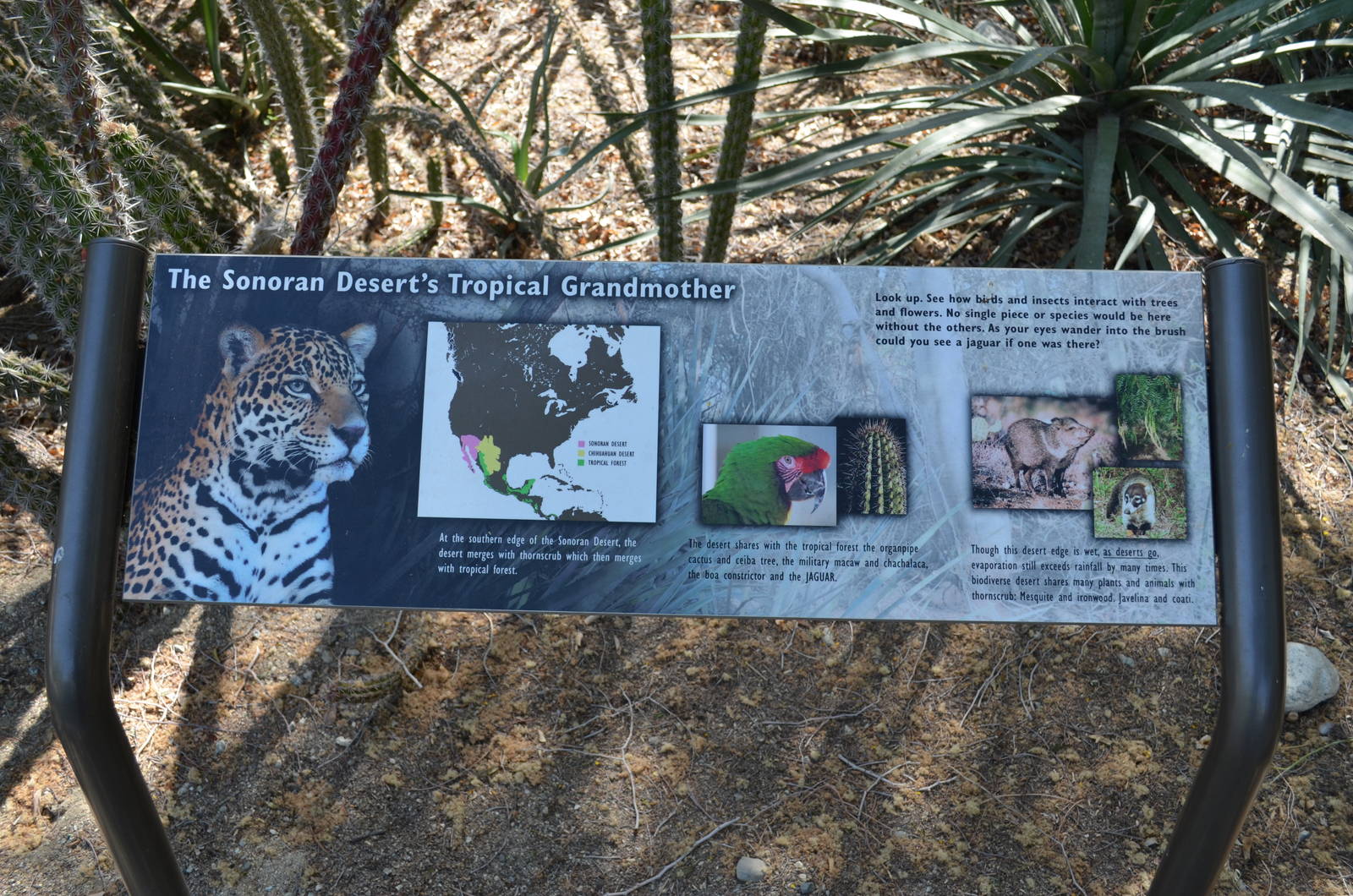 Jaguar Information Signage