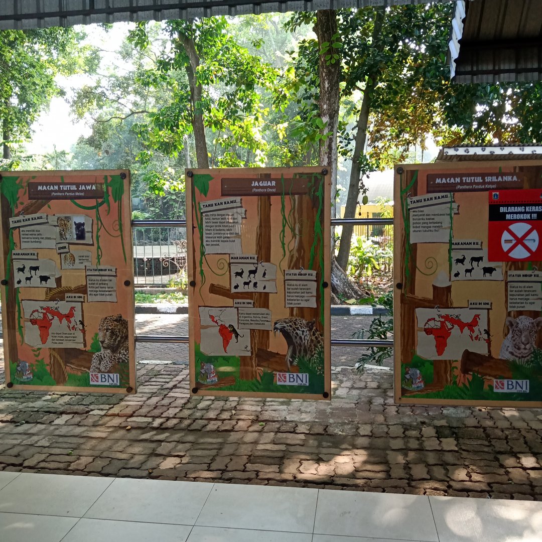 Jaguar, Javan leopard, and Sri Lankan leopard information panel