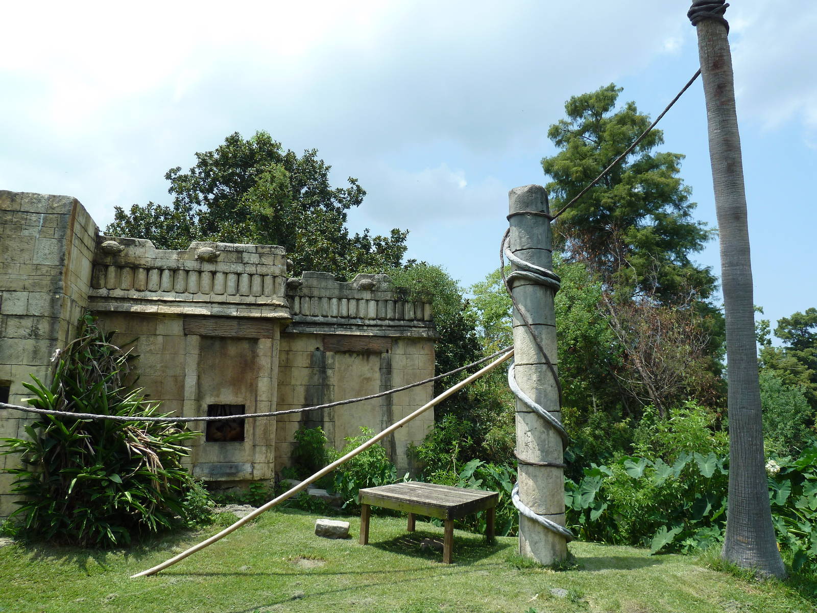 Jaguar Jungle - Black-Handed Spider Monkey Exhibit