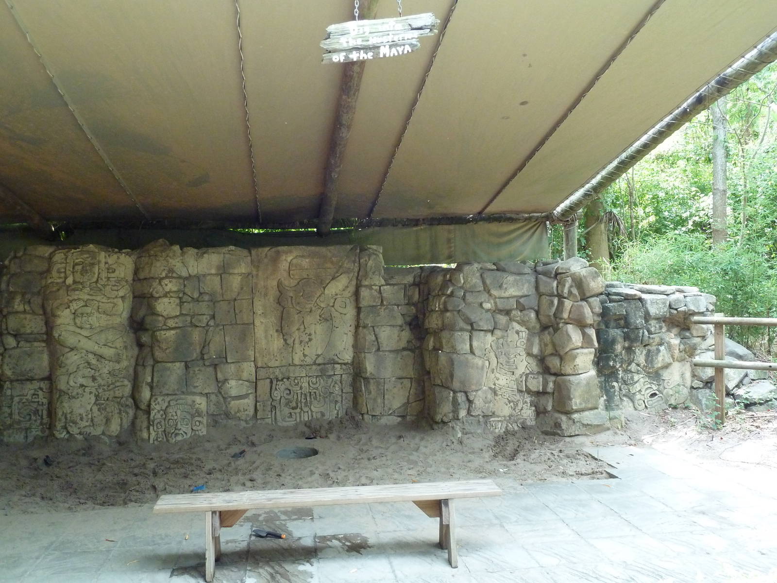 Jaguar Jungle - Dig Site