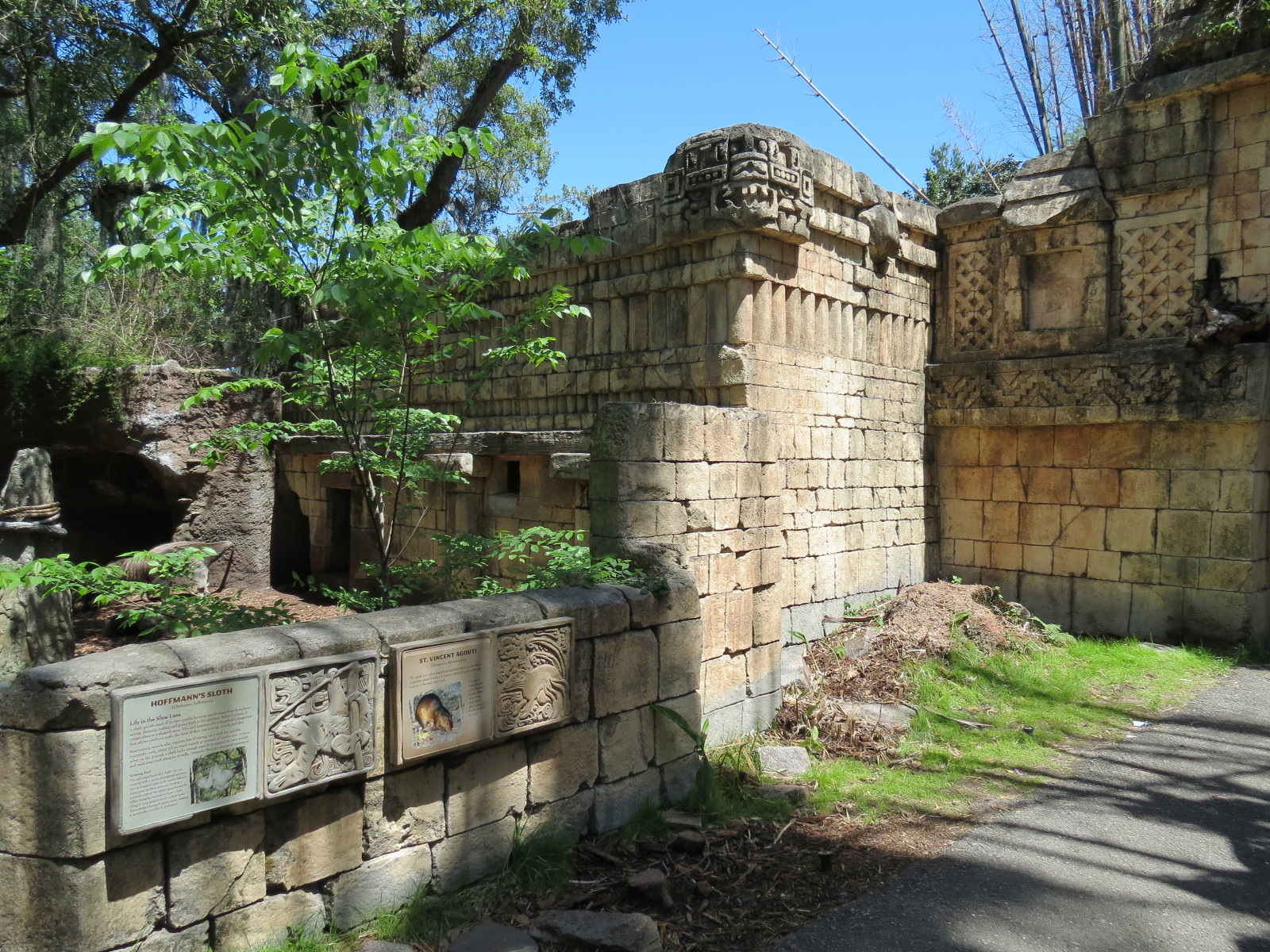 Jaguar Jungle - Giant Anteater, Hoffman's Sloth, and St. Vincent Agouti Exhibit