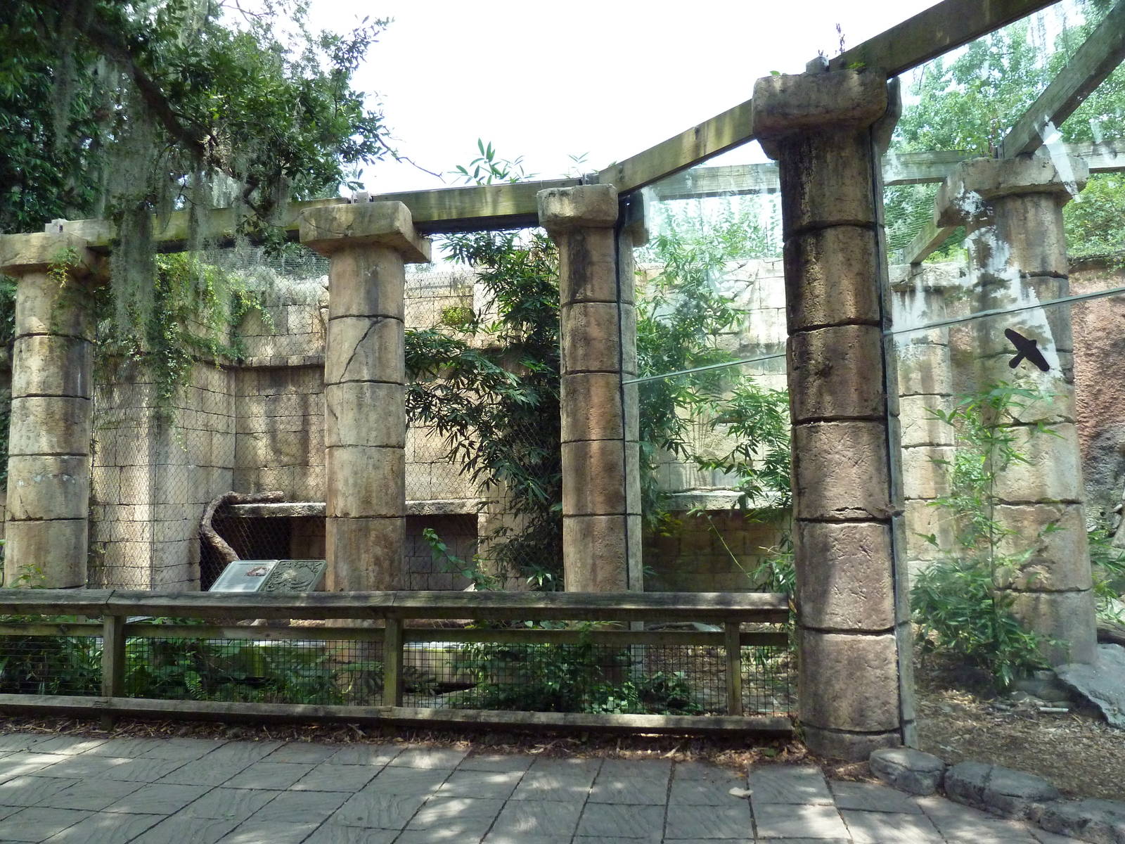 Jaguar Jungle - Jaguar Exhibit