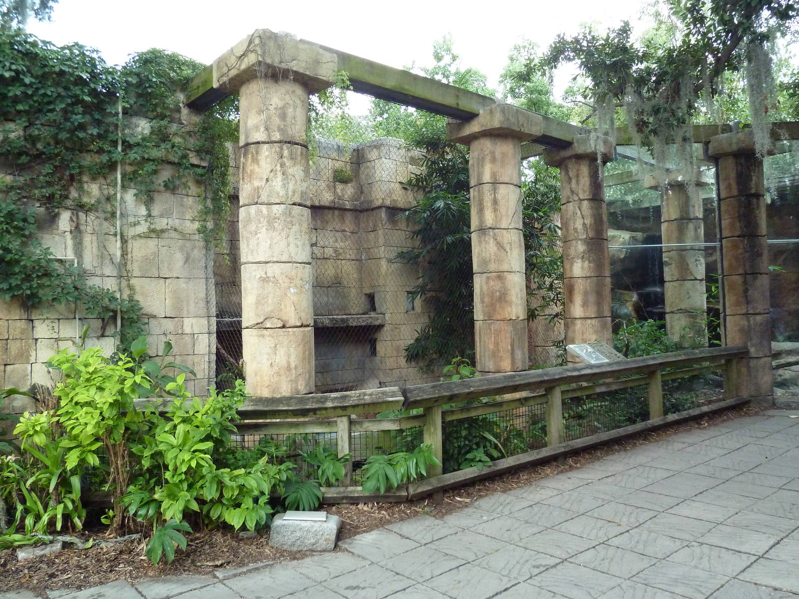 Jaguar Jungle - Jaguar Exhibit