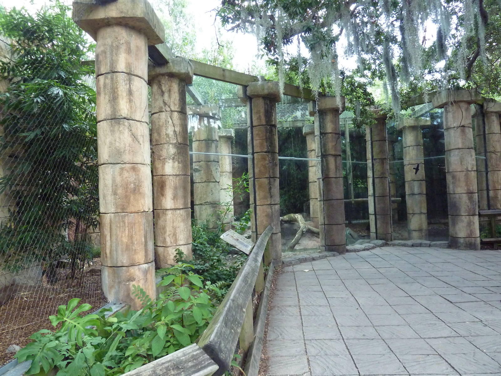 Jaguar Jungle - Jaguar Exhibit