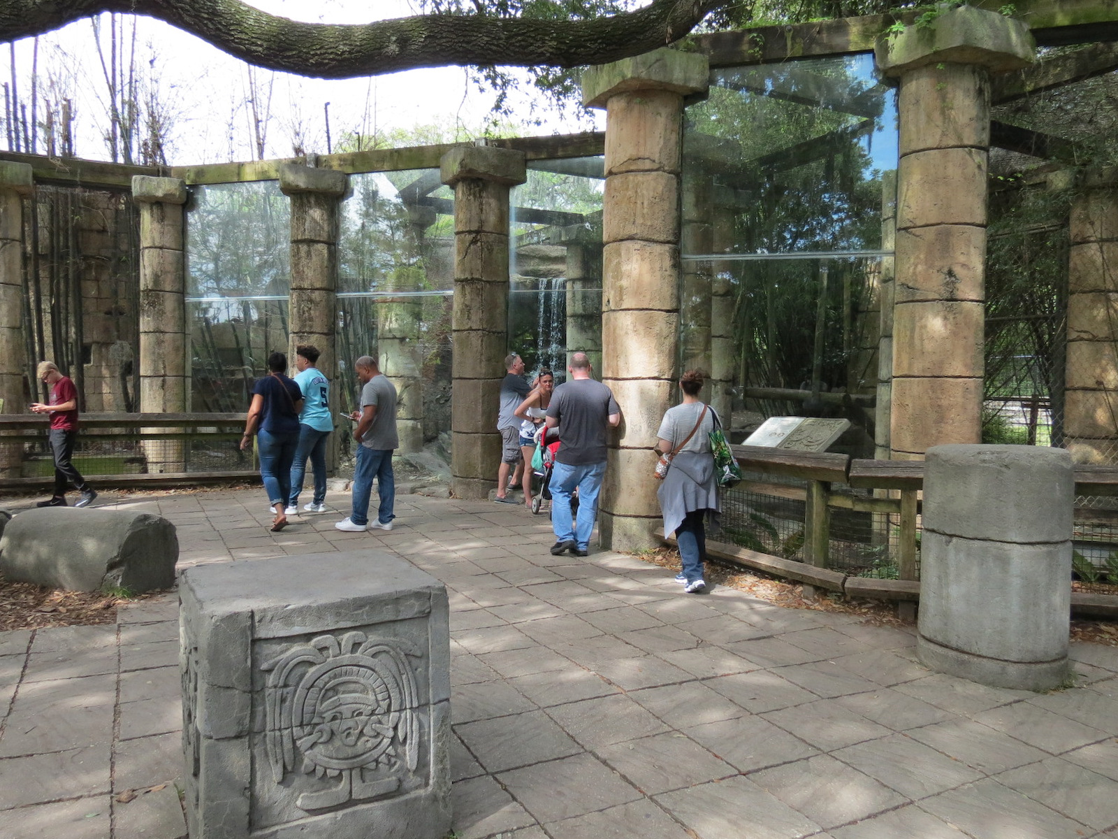 Jaguar Jungle - Jaguar Exhibit