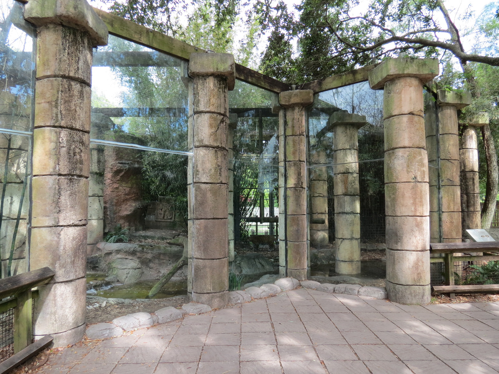 Jaguar Jungle - Jaguar Exhibit