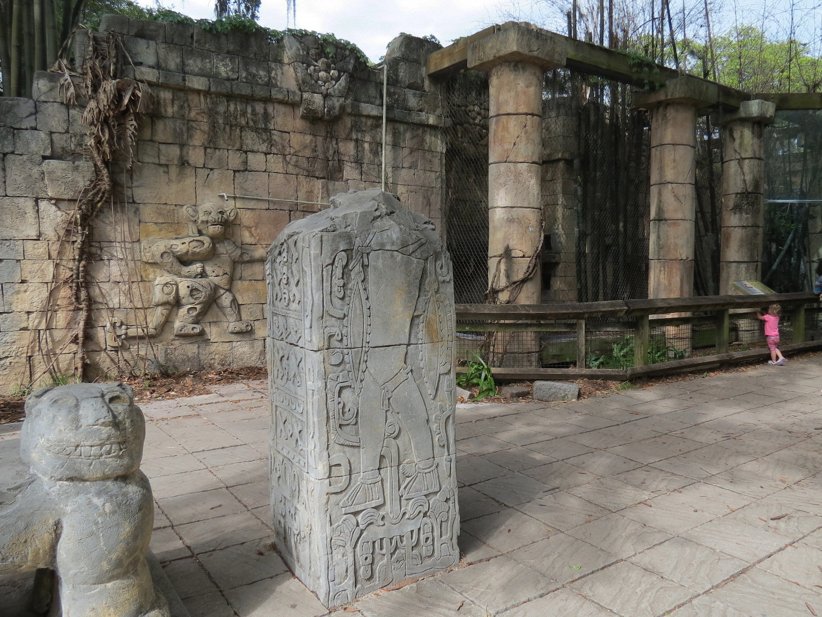 Jaguar Jungle - Jaguar Exhibit