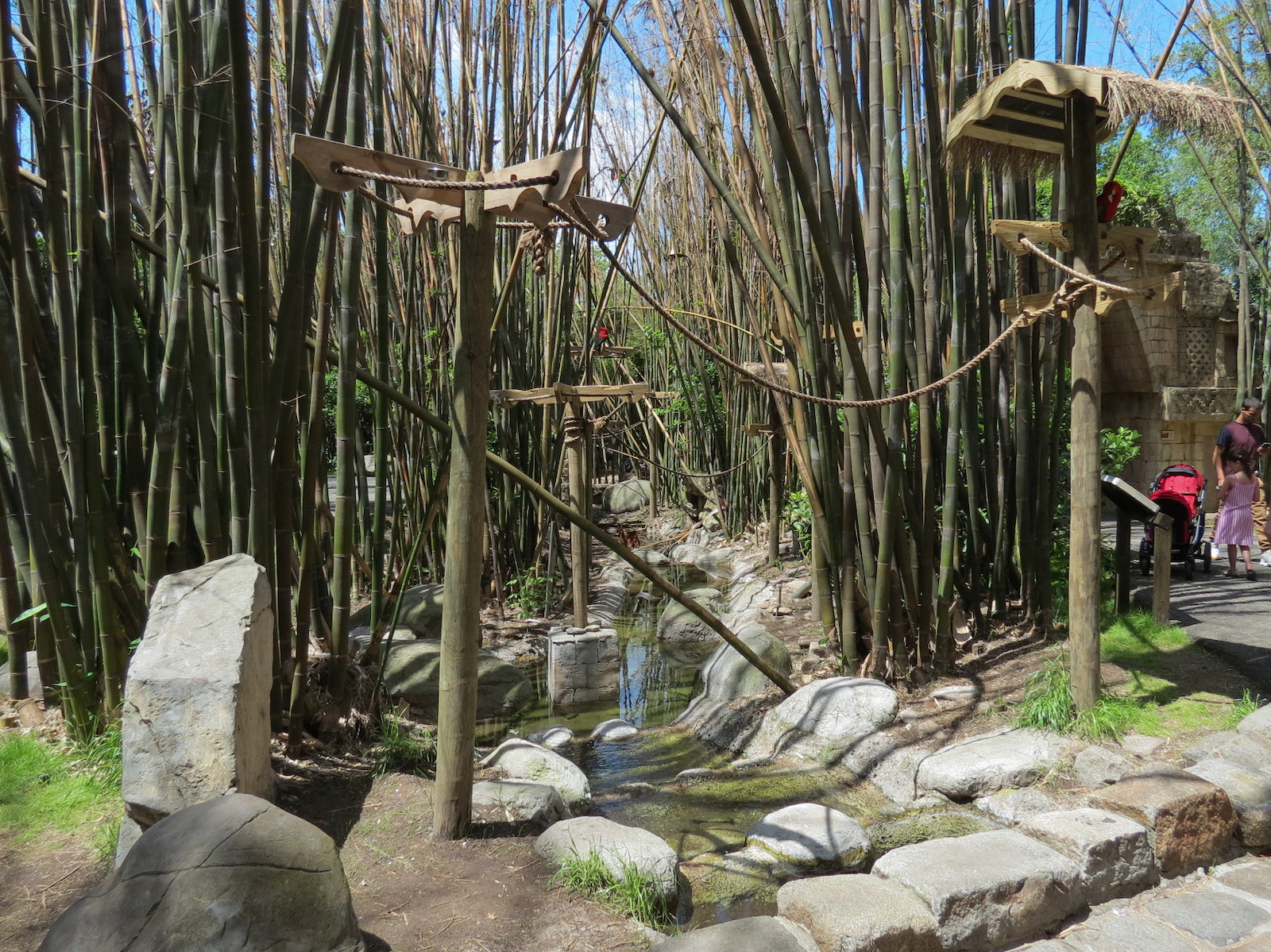 Jaguar Jungle - Macaw Exhibit