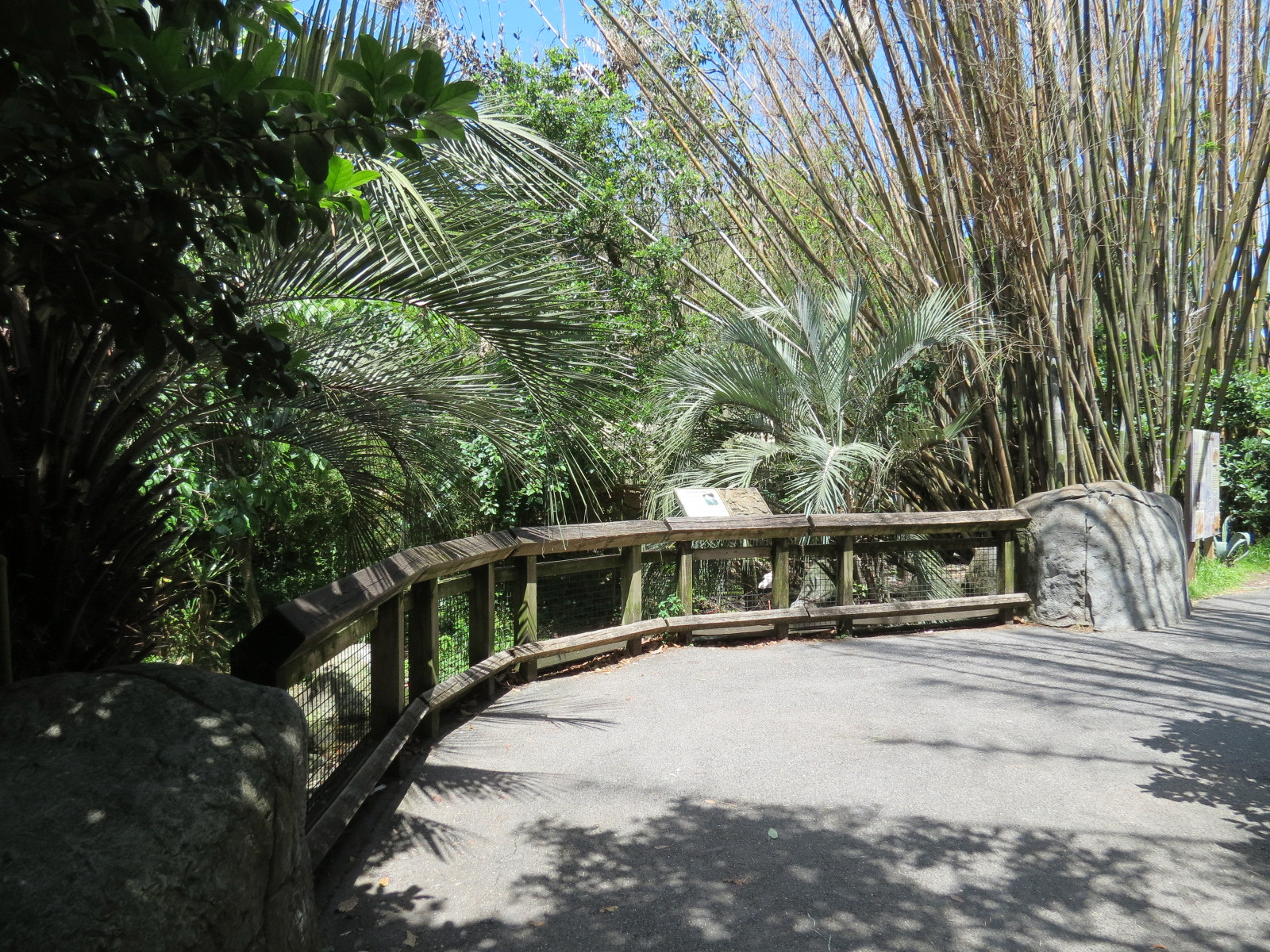 Jaguar Jungle - Maguari Stork Exhibit Viewing Area