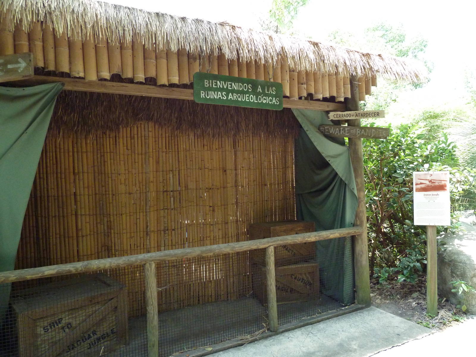 Jaguar Jungle - Market Stall