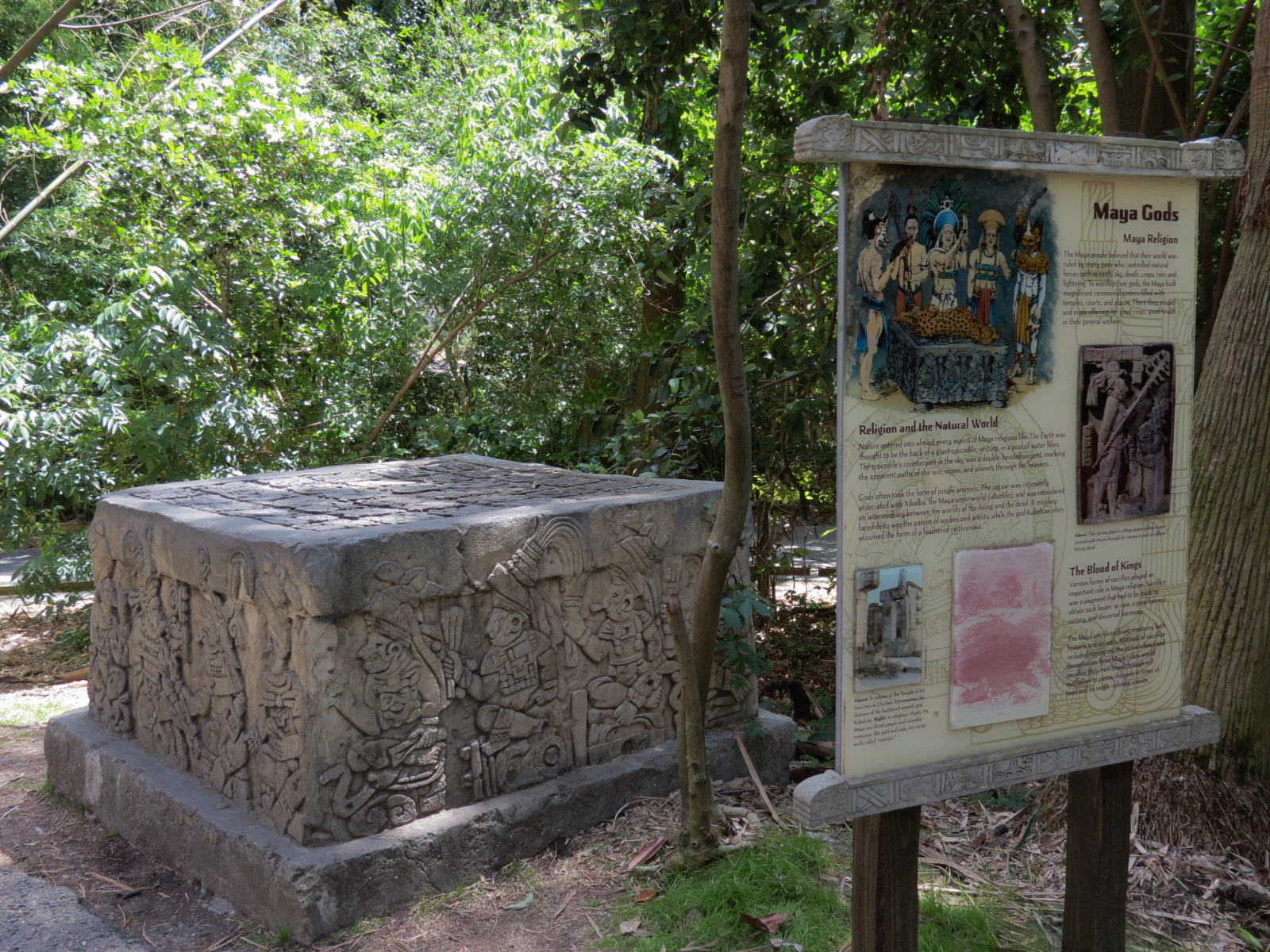 Jaguar Jungle - Maya Gods Display