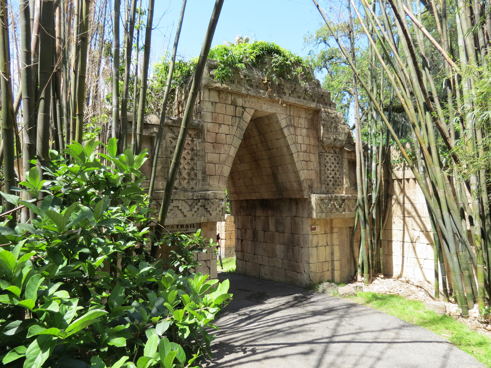 Jaguar Jungle - Path Archway