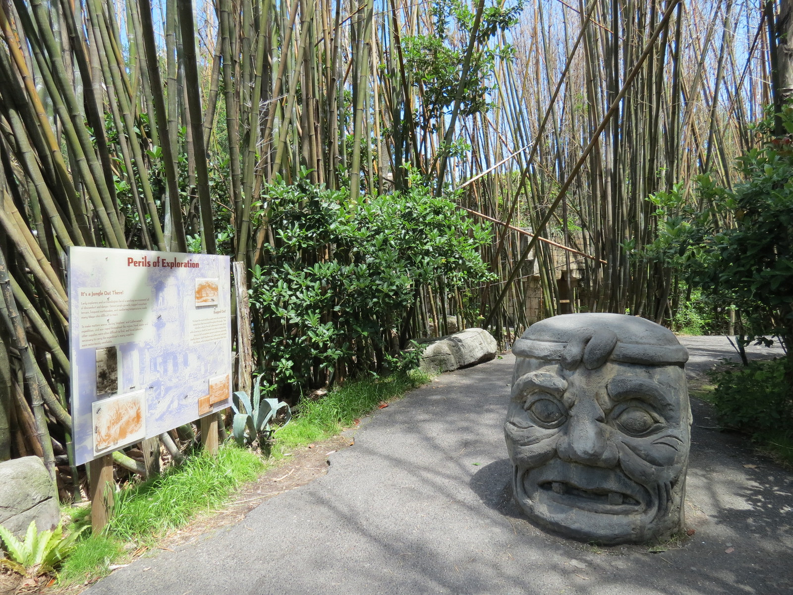 Jaguar Jungle - Path