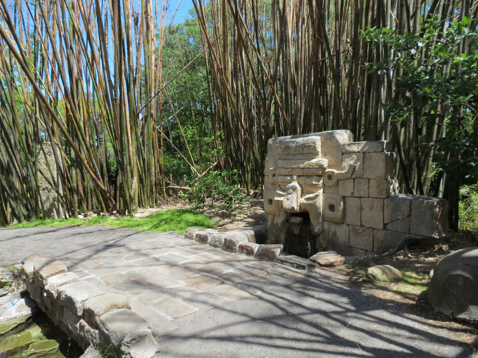 Jaguar Jungle - Path