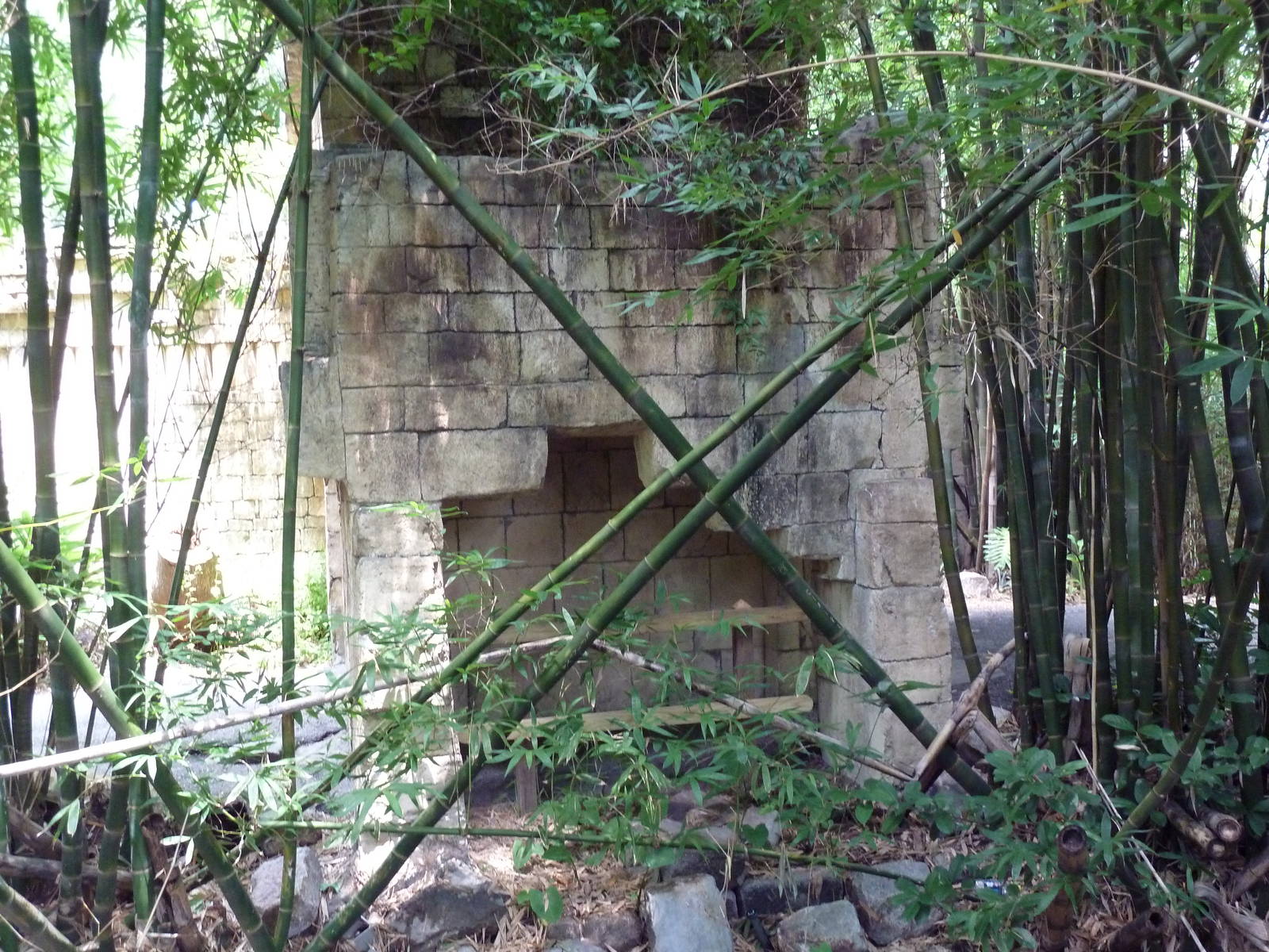 Jaguar Jungle - Visitor Pathway