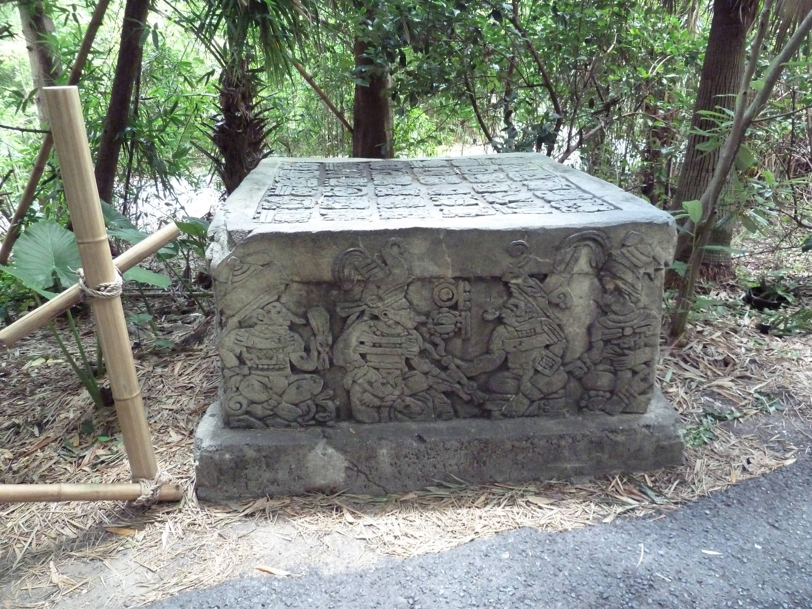 Jaguar Jungle - Visitor Pathway