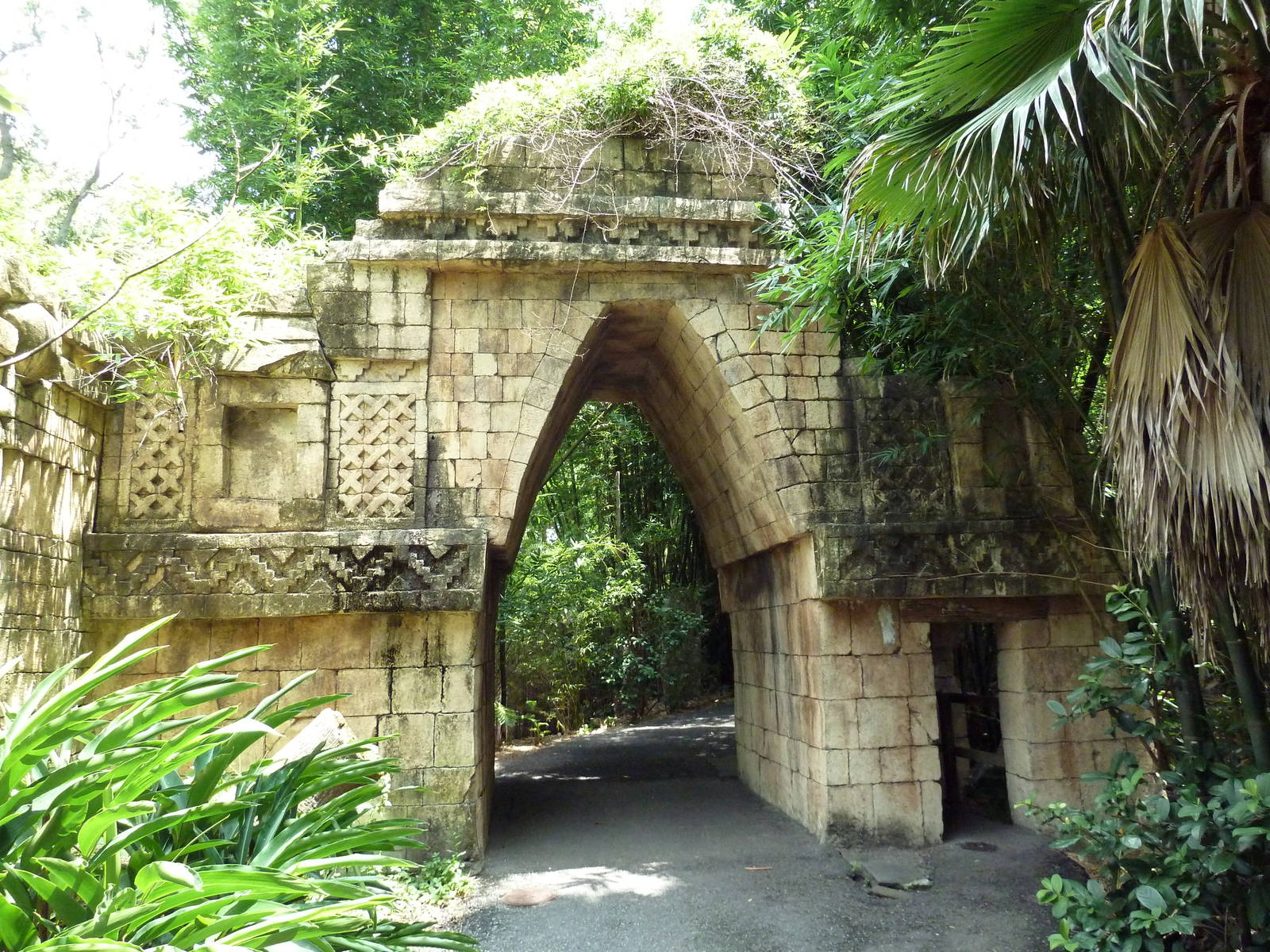 Jaguar Jungle - Visitor Pathway