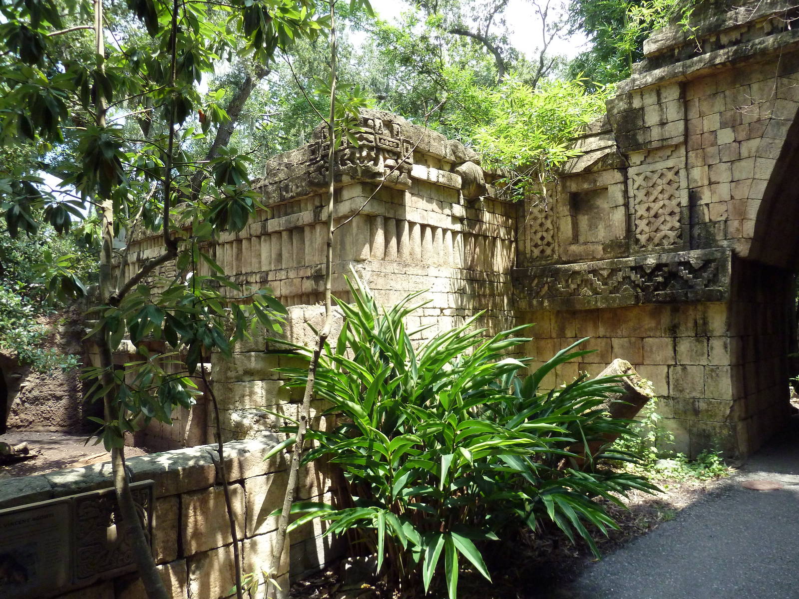 Jaguar Jungle - Visitor Pathway