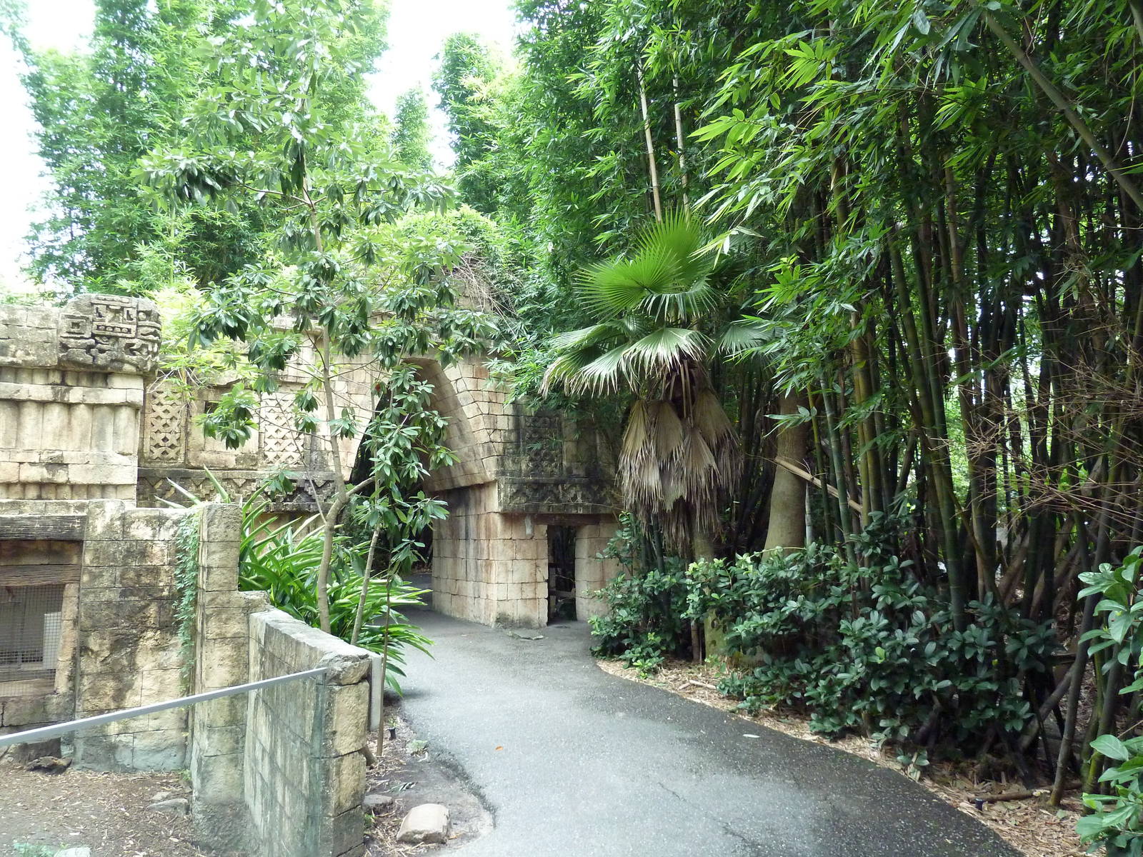 Jaguar Jungle - Visitor Pathway