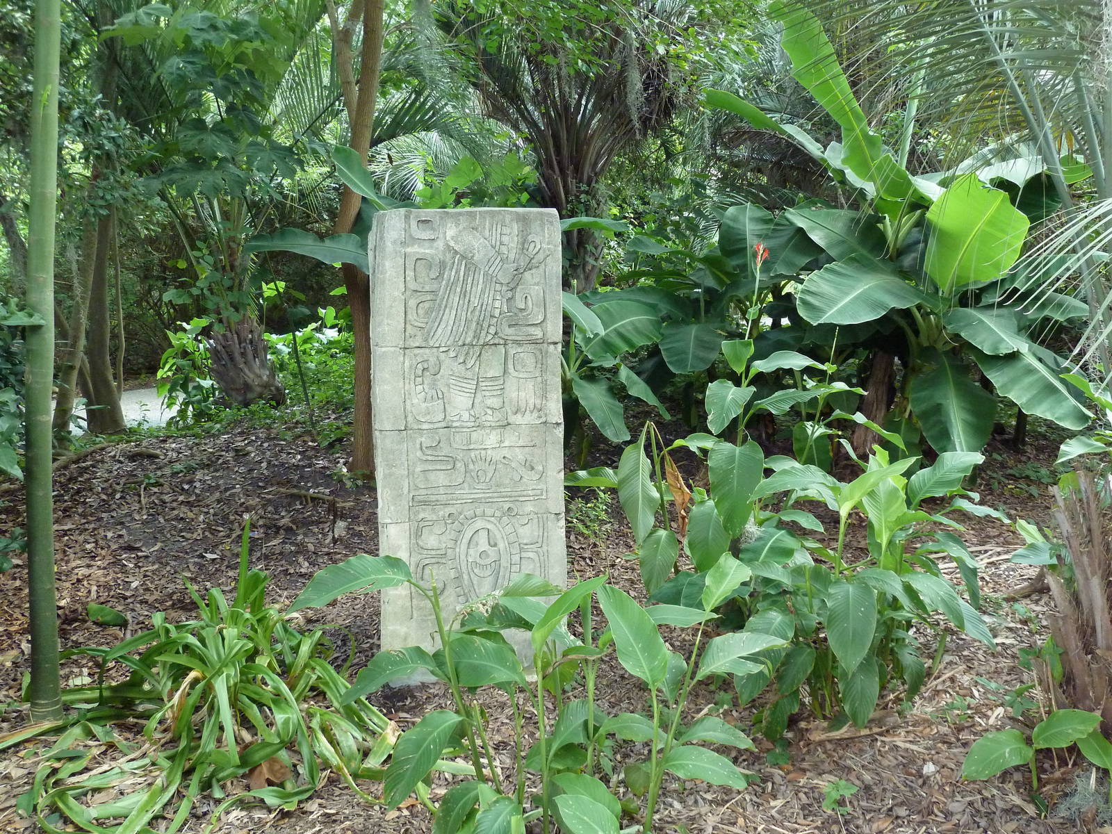 Jaguar Jungle - Visitor Pathway